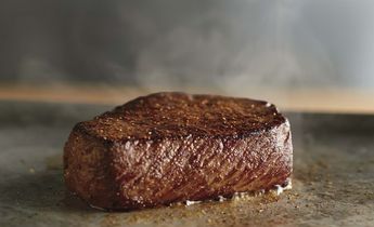 Longhorn Renegade Sirloin